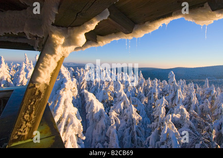 Winterzeit im Bayerischen Wald Europa Deutschland schneebedeckten Fichten Frost frostigen Region namens Geisskopf Bayerischer Wald Stockfoto