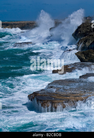 Große Wellen plätschern auf der Animal Flower Cave Klippe, Barbados Stockfoto