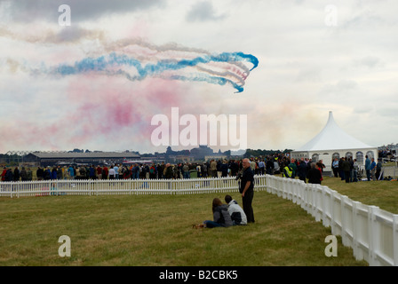Öffentliche / Enthusiasten beobachten der Red Arrows Display Team Farnborough Air Show 2008 Stockfoto