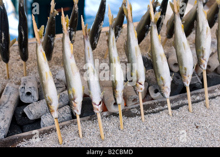 Yakizakana oder gegrillten Salzfisch Erwärmung über glühende Kohlen am Spieß ist ein Fast-Food zu behandeln, bei lokalen festivals Stockfoto