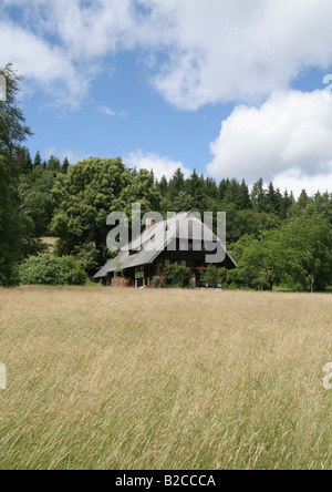 Schwarzwaldhof im Groppertal in der Nähe von Villingen Stockfoto