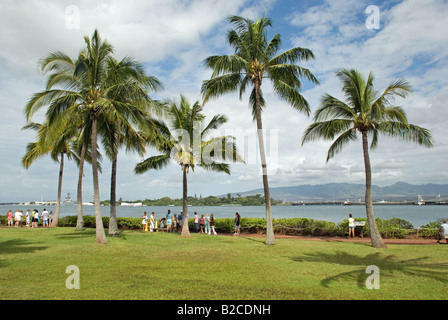 Rasen, USS Arizona Memorial, Pearl Harbour zurück. Stockfoto