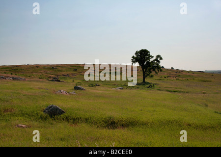 Quarzit Ridge in der Nähe von Blue Mounds State Park in Minnesota Stockfoto