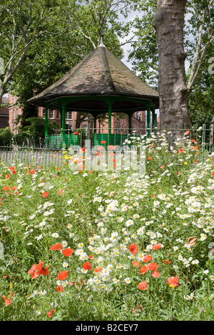 Musikpavillon und Frühling Blumen. Arnold Circus, Boundary Estate, Tower Hamlets, London, England Stockfoto