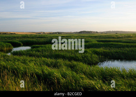 Cley Sümpfe Nature Reserve Norfolk England UK Stockfoto