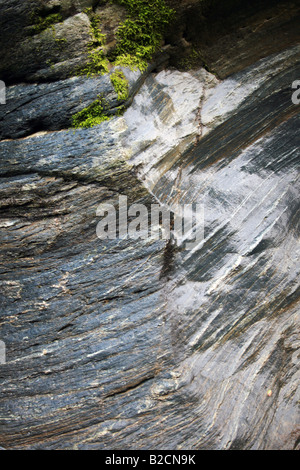 Nahaufnahme von einem reibungslosen Fluss-Stein mit Moos oben drauf. Stockfoto