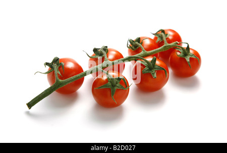 Frische Tomaten mit Stiel isoliert auf weißem Hintergrund im Studio mit einer 21-Megapixel-Kamera aufgenommen Stockfoto