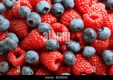 Leckere Heidelbeeren und roten Himbeeren gesehen große XXL-Datei gedreht im Studio hautnah Stockfoto