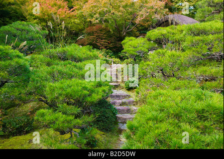 Kyoto, Japan, Okochi Denjiro, Steinstufen im Garten Stockfoto