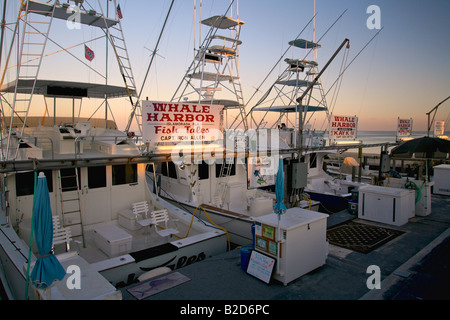 Charter-Boote für den Abend in einer Marina in Islamorada in den Florida Keys während des Sonnenuntergangs angedockt Stockfoto