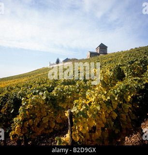 Schloss Johannisberg oberhalb der Weinberge Deutschland Stockfoto