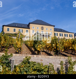 Schloss Johannisberg oberhalb der Weinberge mit Blick auf den Rhein Stockfoto