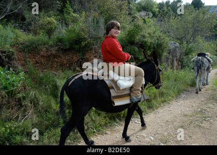 junges Mädchen Reiten eines Esels, in der Nähe von Campell, Marina Alta, Provinz Alicante, Comunidad Valenciana, Spanien Stockfoto