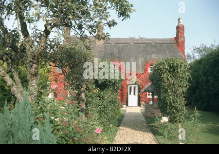 Kiesweg durch Garten vor reetgedeckten Landhaus mit wildem Wein rot an den Wänden Stockfoto