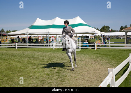 Ein Fahrer im Hunter Jumper Ring bei einem Reitwettbewerb am High Desert Classic ein Pferdesport-Event und Pferde-show Stockfoto