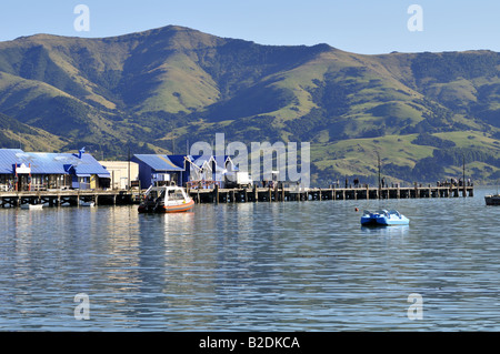Akaroa Harbour und Steg Banken Halbinsel Canterbury Neuseeland Südinsel Stockfoto