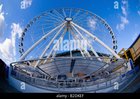 Weitwinkelblick eines Feldes in York. Stockfoto