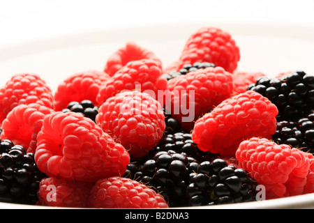 Eine Schüssel mit Himbeeren und Brombeeren im Studio gedreht Stockfoto