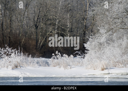 Raureif auf der Ost-Gabel der Chippewa River Sawyer Co WI Stockfoto