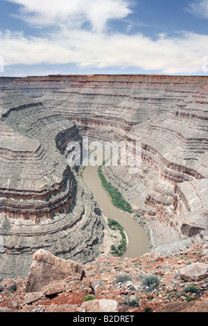 Goosenecks State Park in Utah USA Stockfoto