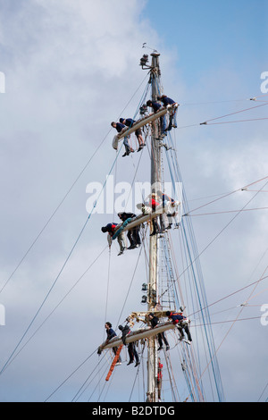 Azubi-Segler in Takelage der Großsegler Stockfoto