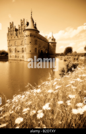 Daisy Wassergraben eingefasst monochrome Orton: das Schloss mit seinem romantischen Runde Turm sitzt in den Wassergraben umgeben von Gras- und Gänseblümchen Stockfoto