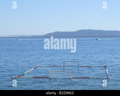 Wasser-Polo Sport Bereich Tonhöhe schwimmend im Meer Stockfoto