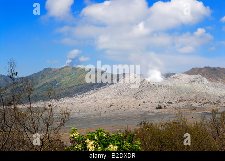 Gunung Bromo Vulkan Bromo mit Meer von Sand, PROBOLINGGO, BROMO TENGGER SEMERU NATIONAL PARK, JAVA, Indonesien Stockfoto