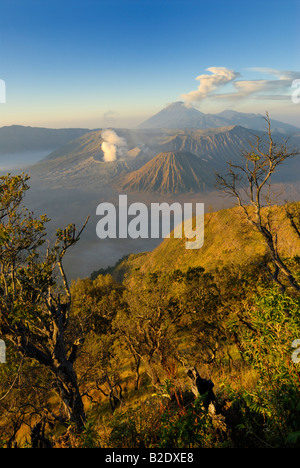Gunung Bromo Vulkan Bromo mit Meer von Sand Vulcano Semeru beim Ausbruch im Hintergrund bei Sonnenaufgang, JAVA, Indonesien Stockfoto