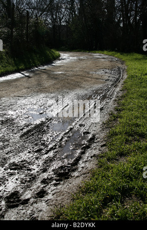 Rad-Strecken im Schlamm am Radweg in Land Stockfoto
