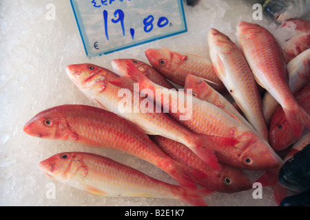 Griechenland Frischfisch Rotbarbe auf dem Display in einem Fischhändler Stockfoto
