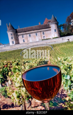 CHATEAU de Rully Rotweinprobe Glas im Freien im Weinberg von Antonin Rodet und Chateau de Rully hinter, Saone-et-Loire, Cote Chalonnaise, Frankreich. Stockfoto