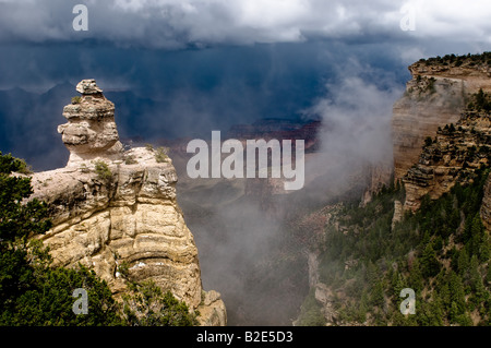 Panorama des Grand Canyon Arizona USA Stockfoto