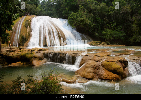 Die Cataratas de Agua Azul, Nr Palenque, Bundesstaat Chiapas, Mexico. Stockfoto