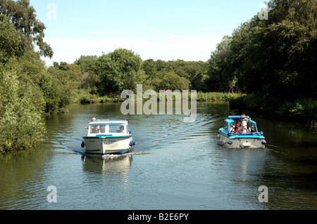 Broads Daycruiser auf dem Fluss Bure stromaufwärts von Wroxham, Broads National Park Stockfoto