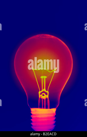 Nahaufnahme der Glühbirne Stockfoto