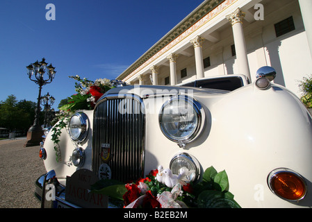 Nahaufnahme des Autos verziert mit Blumen, Baden-Württemberg, Deutschland Stockfoto