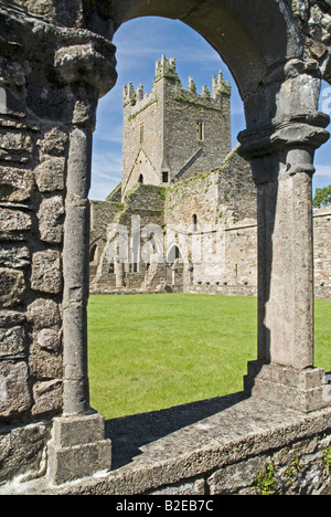 Alte Ruinen der Abtei, Jerpoint Abbey, Thomastown, Grafschaft Kilkenny, Leinster, Irland Stockfoto