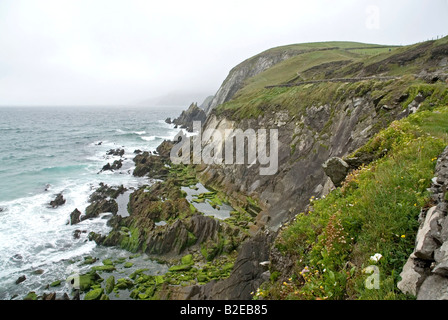 Wellen gegen Felsen, County Kerry, Munster, Irland Stockfoto