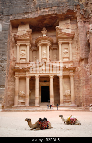 Touristen und Kamele vor Schatz Haus Petra Wadi Musa, Jordanien Stockfoto