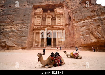 Touristen und Kamele vor Schatz Haus Petra Wadi Musa, Jordanien Stockfoto