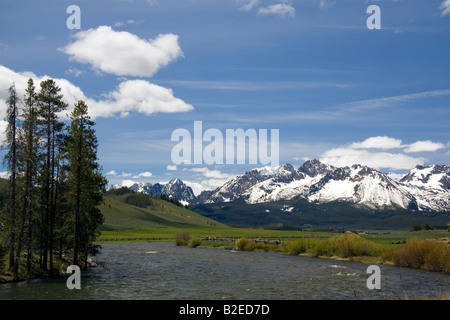 Der Salmon River fließt durch das Sawtooth Tal unterhalb der Sägezahn Mountain Range in der Nähe von Stanley Idaho Stockfoto