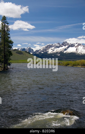 Der Salmon River fließt durch das Sawtooth Tal unterhalb der Sägezahn Mountain Range in der Nähe von Stanley Idaho Stockfoto