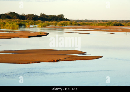 Ein Blick über den Save-Fluss seine Sandbänke und Reed Betten am späten Nachmittag. Stockfoto