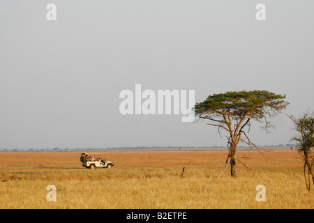 Touristen auf einem offenen Fahrzeug auf Safari in der Serengeti-Ebene Stockfoto
