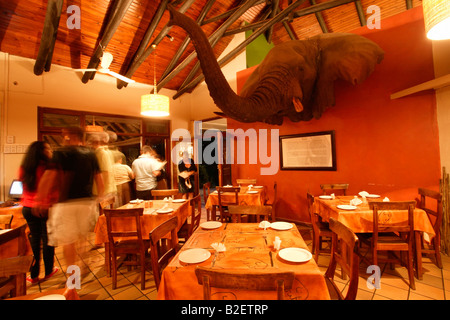 Touristen im Restaurant mit den montierten Kopf der Hapoor im Stammlager des Addo Elephant Park. Stockfoto