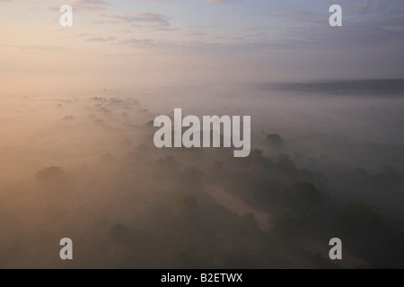 Luftaufnahme von Bäumen und einem Fluss zeigen sich durch die frühen Morgennebel Stockfoto