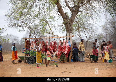 Ein Outdoor-Metzgerei am Rande der Mapai zeigt geschlachteten Kadaver an Fleischerhaken unter einem Baum hängen Stockfoto