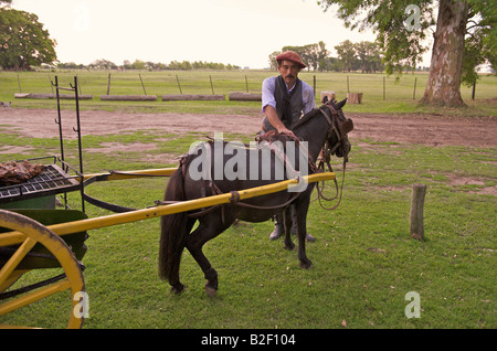 Gaucho mit Pferd, Buenos Aires, Argentinien Stockfoto
