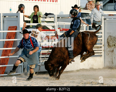 U.S. HOMESTEAD Sankey s School Rodeo Bullriding Foto GERRIT DE HEUS Stockfoto